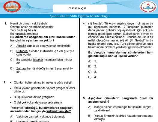 türkçe deneme sınavı