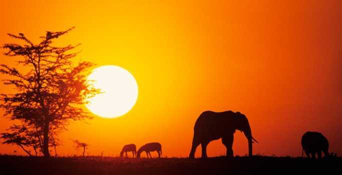 İnsanlığın Beşiği Afrika