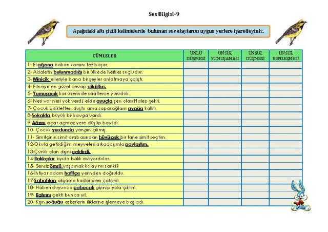ses bilgisi-7 çalışma kağıdı
