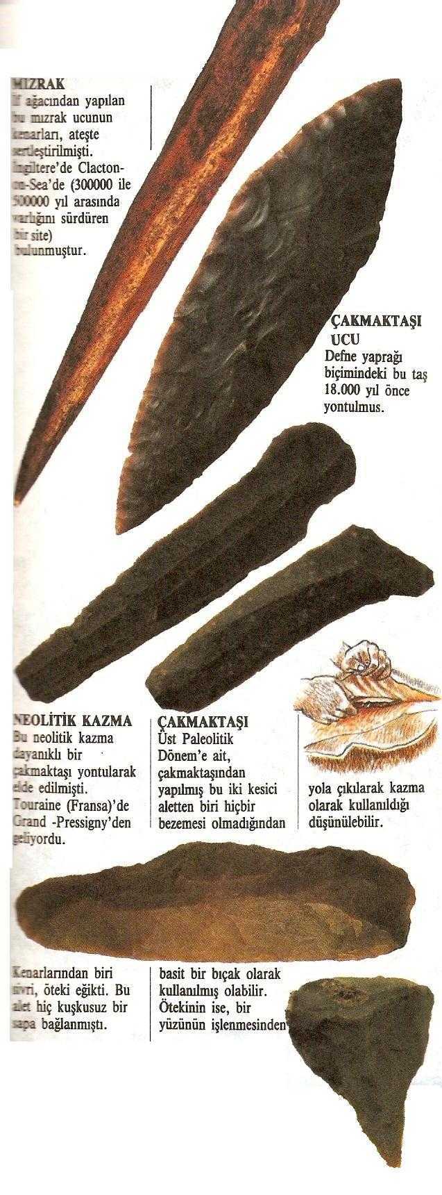 Tarihöncesi Avcıları