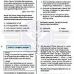 LGS Deneme Sınavı 3