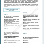 lgs deneme sınavı (5)