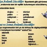 Türkçe Kelimede Anlam Sunusu3