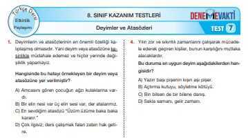 8. Sınıf Testleri (Kasım 2018)
