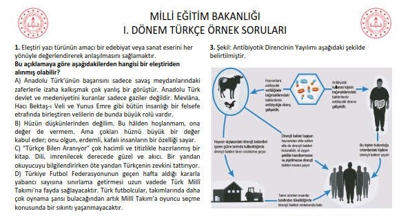 MEB 1. Dönem Türkçe Tüm Örnek Sorular (Tek Dosya)