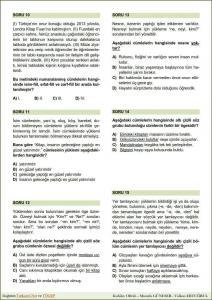 Dil Bilgisi Tarama Testi - 1