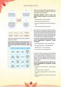 Nar Test 16