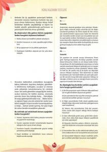 Nar Test 17