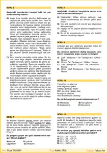 Türkçe 8