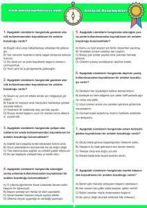 anlat_3