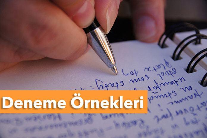 Deneme Örnekleri