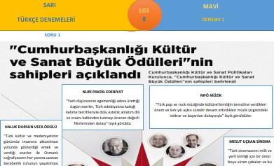 Sarı-Mavi LGS Türkçe Denemesi (Metin METE)