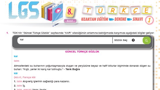 8. Sınıf LGS Türkçe Uzaktan Eğitim Denemesi